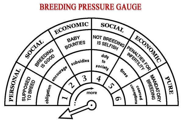 breeding pressure gauge